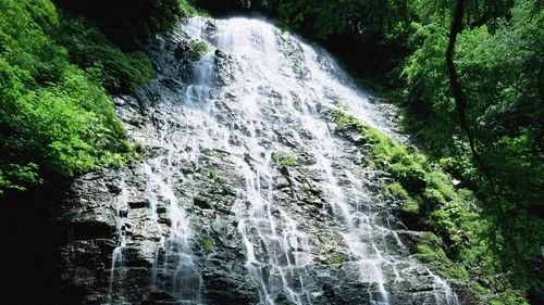 节能智能系统